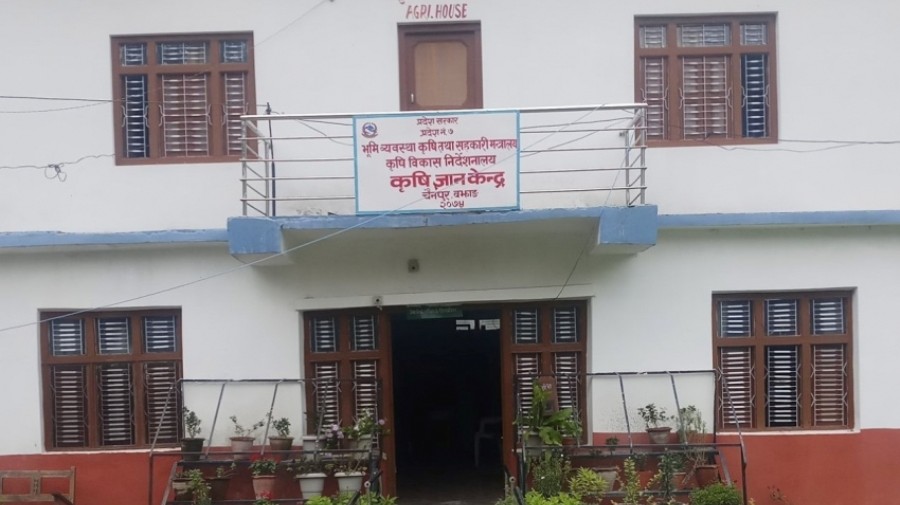 बझाङलाई आलु जोनका रुपमा विकास गर्ने योजनामा कृषि ज्ञान केन्द्र
