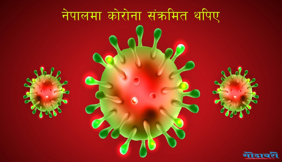 नेपालमा आज थप १६७ जनामा कोरोना पुष्टि , संक्रमितको संख्या १७ हजार ३ सय ४४ पुग्यो