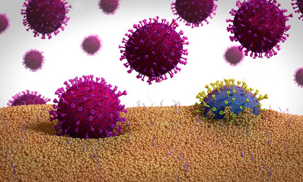 बैतडी जिल्लामा कोरोनाका संक्रमित शून्य