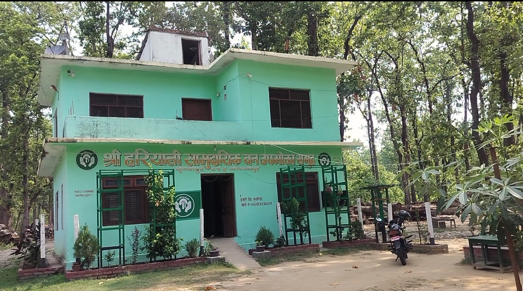 कंचनपुरको हरियाली सामुदायिक बन नमुना बनतर्फ उन्मुख