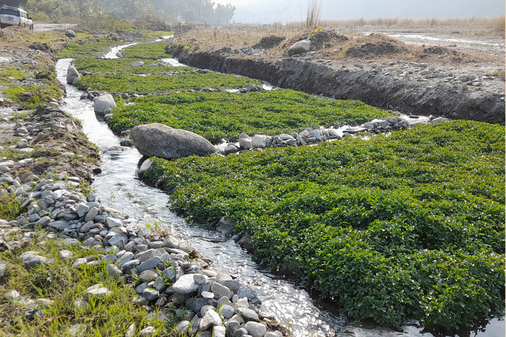 मजदुरी गरेर परिवारको खर्च चलाउँदै ब्रह्मदेवको सीमा क्षेत्रका बासिन्दा