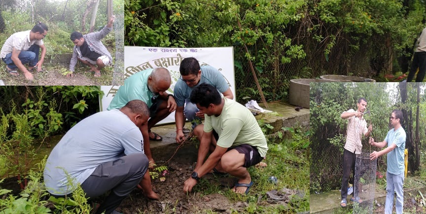 बार्षिक उत्सवको अवसरमा न्यू सिर्जनशिल युवा क्लबद्धारा बृक्षारोपण 