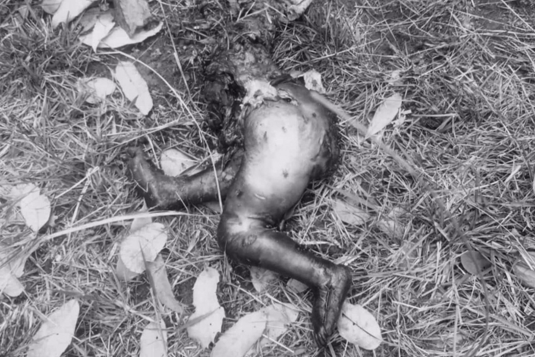 बैतडीमा सडेको अवस्थामा एक शिशुको शव फेला