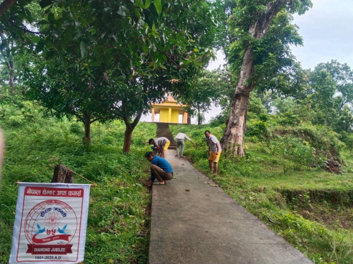 नेपाल चेम्बर अफ कमर्सको ७५औँ हीरक जयन्तीमा सुदूरपश्चिममा वृक्षारोपण