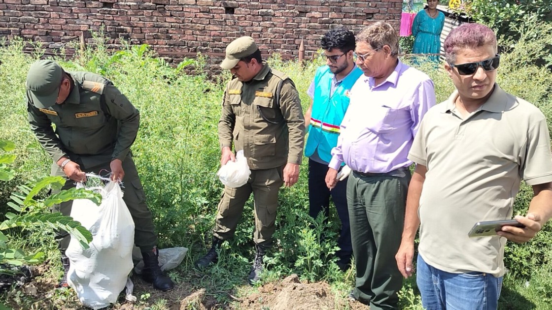 कैलालीको अत्तरियास्थित तरकारी हाटबजारमा करीब ६५ किलोग्रामभन्दा बढी विषादी भेटिएको बन्दागोभी नष्ट