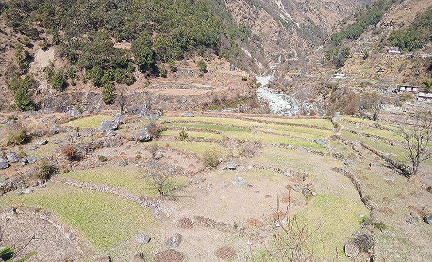 बझाङमा लेकाली भेगमा हिमपात नहुँदा भोकमरीको डर