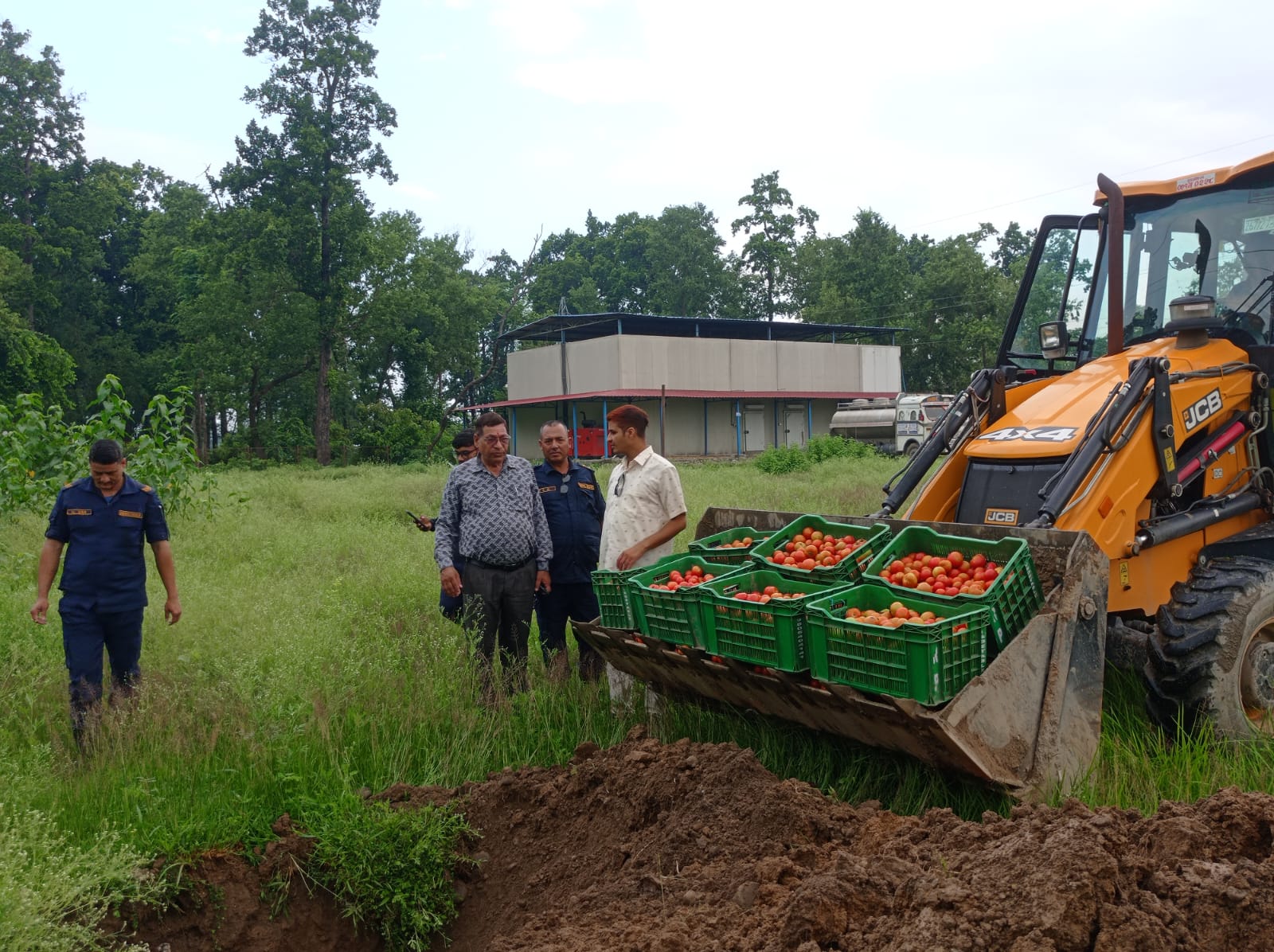 कैलालीको अत्तरिया हाटबजारमा अत्यधिक विषादीयुक्त ५.६ क्विन्टल टमाटर नष्ट