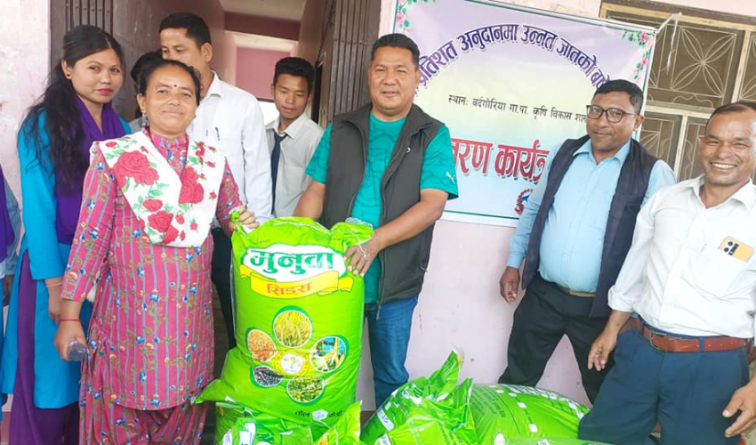 बर्दगोरियाका किसानलाई अनुदानमा धानको बिउ वितरण
