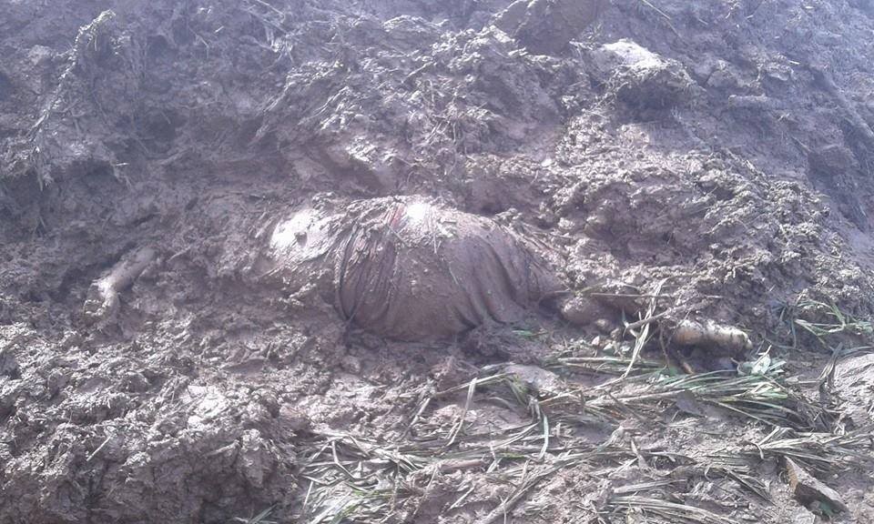 पहिरोमा परी दार्चुलामा एक युवाको मृत्यु