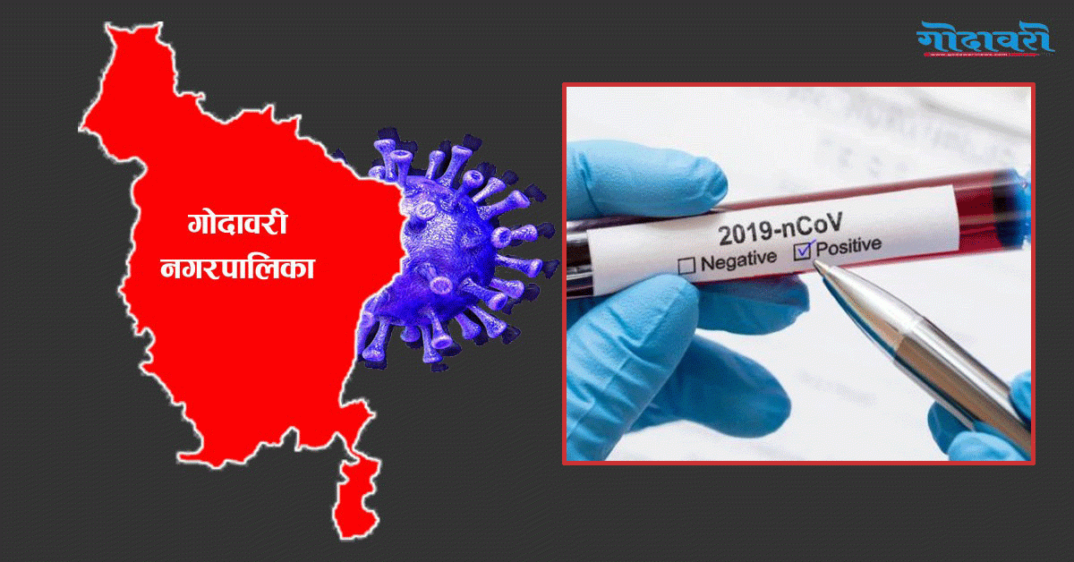 गोदावरी नगरपालिका १२ मा एकै दिन ३८ जनामा कोरोना पोजेटिभ