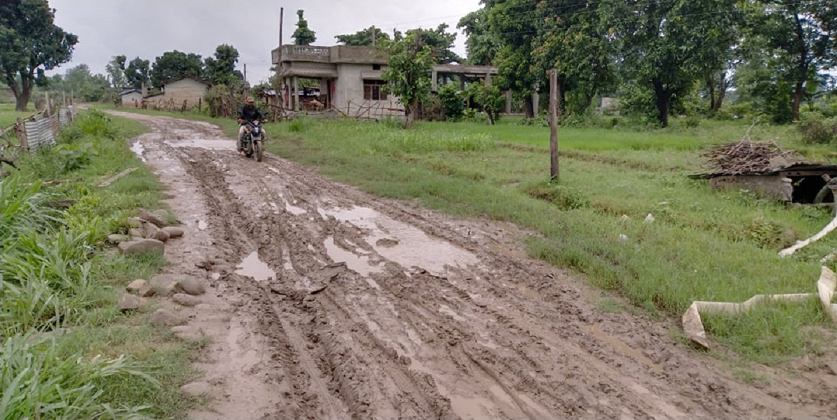 गोदावरी ७ का ग्रामिण सडकको दुर्दशा : ग्राभिलका लागि आएको बजेटमा हिनामिना भएको आंशका 