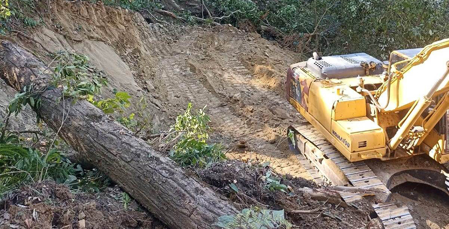 महाकाली करिडोर निर्माणका लागि कञ्चनपुरमा झण्डै २ हजार रुख काट्न सुरु