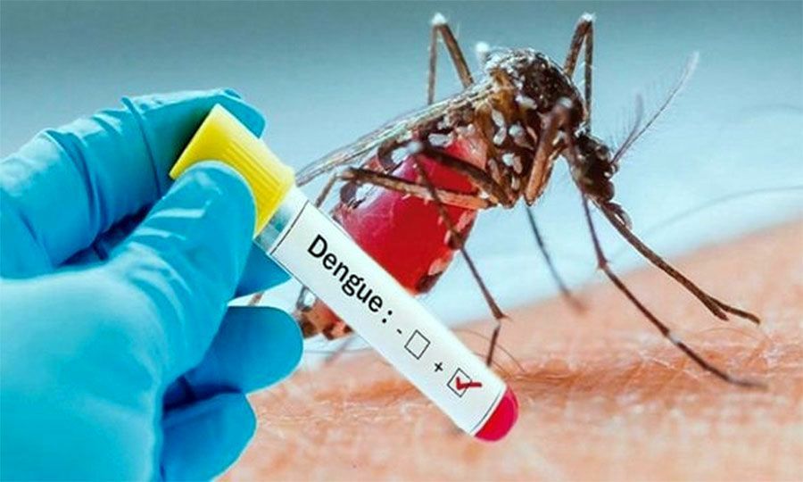देशैभर फैलिएको डेंगीबाट संक्रमित हुनेको संख्या २८ हजार नाघ्यो, ३८ जनाको मृत्यु