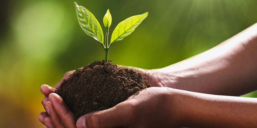 अन्तर्राष्ट्रिय जैविक विविधता दिवस आज मनाइँदै