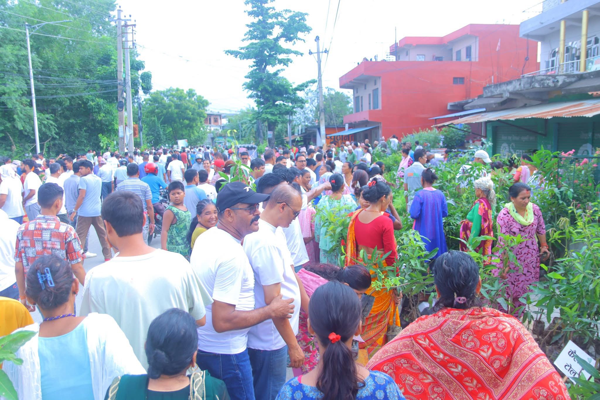 धनगढी - ५ मा वृक्षारोपण अभियान : प्रत्येक घरधुरीमा २ बिरुवा