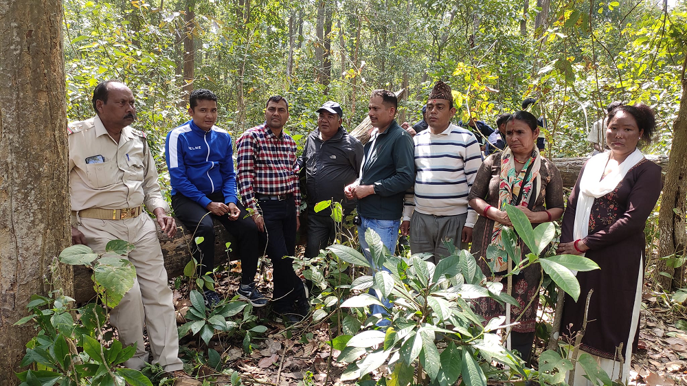 बाघको आक्रमणबाट कञ्चनपुरस्थित पुनर्वासकी एक महिलाको मृत्यु