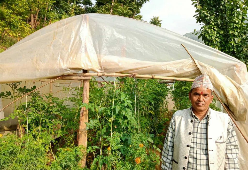 व्यावसायिक तरकारी खेती गरि दुई वडावासीलाई तरकारी खुवाउँदै बझाङका किसान