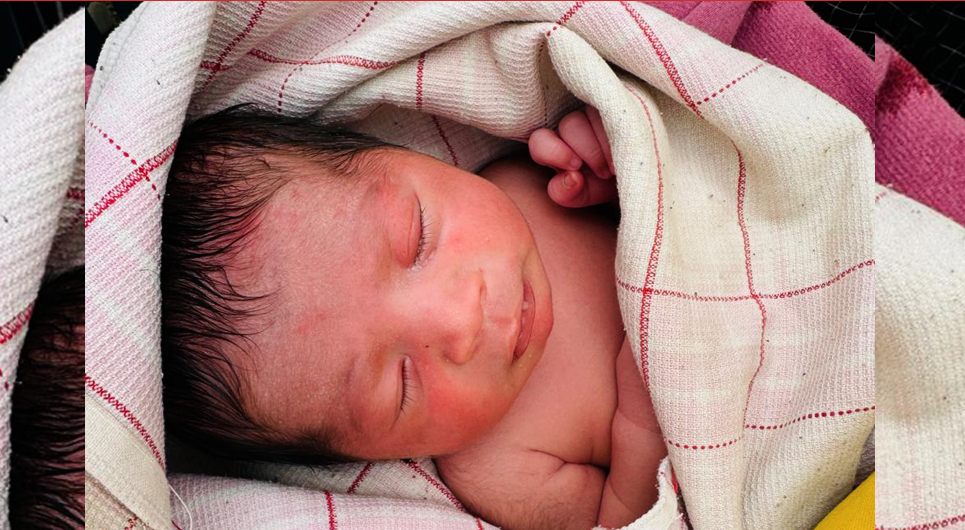 बेवारिसे शिशु फाल्ने आमा धनगढीबाट पक्राउ