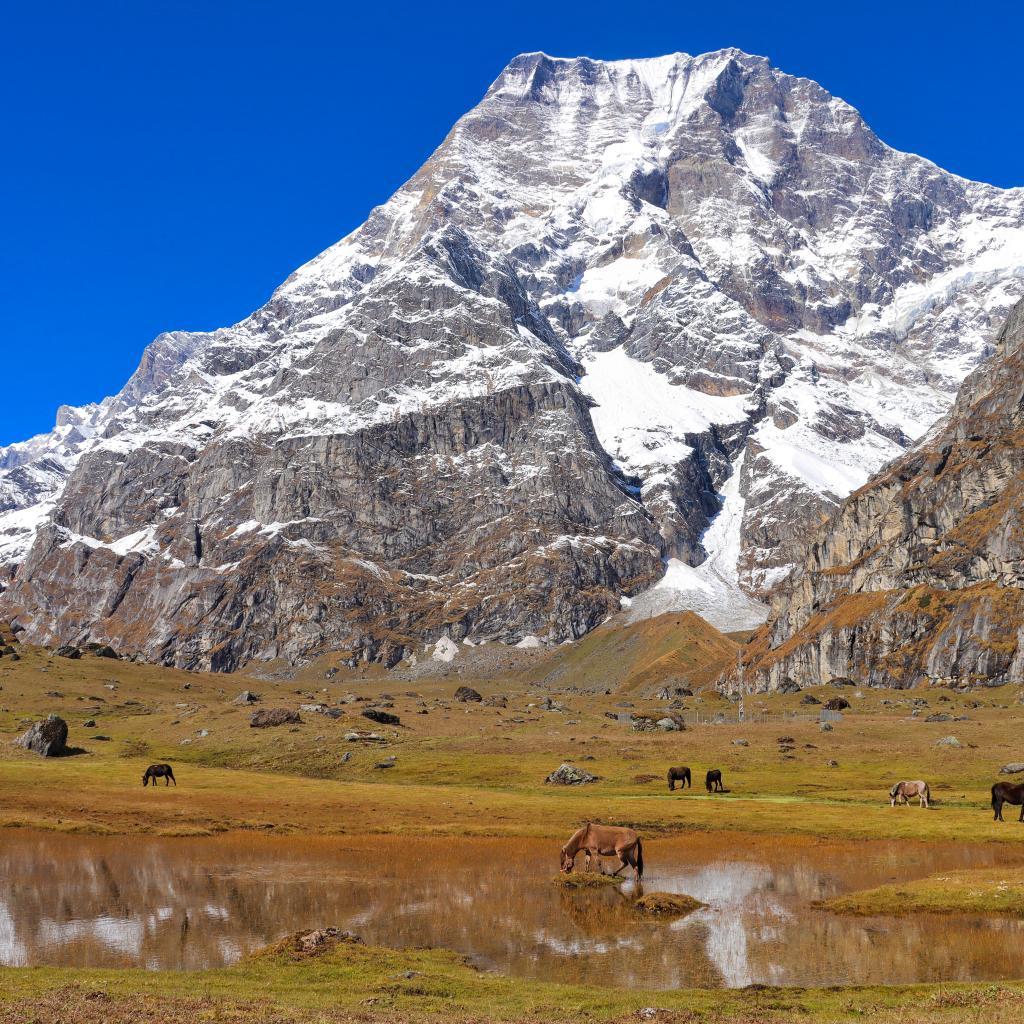 चार हजार मिटर उचाइमा क्रिकेटको रोमाञ्चः अपी हिमाल बेसक्याम्पमा धनगढी–११ र अपी–११ भिड्दै