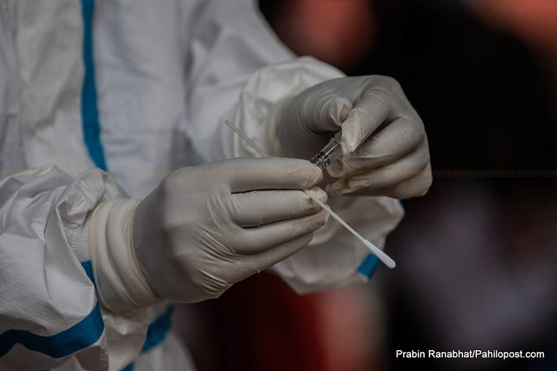 पछिल्लो २४ घण्टामा देशभर ५ सय ४२ जनामा कोरोना  पुष्टि