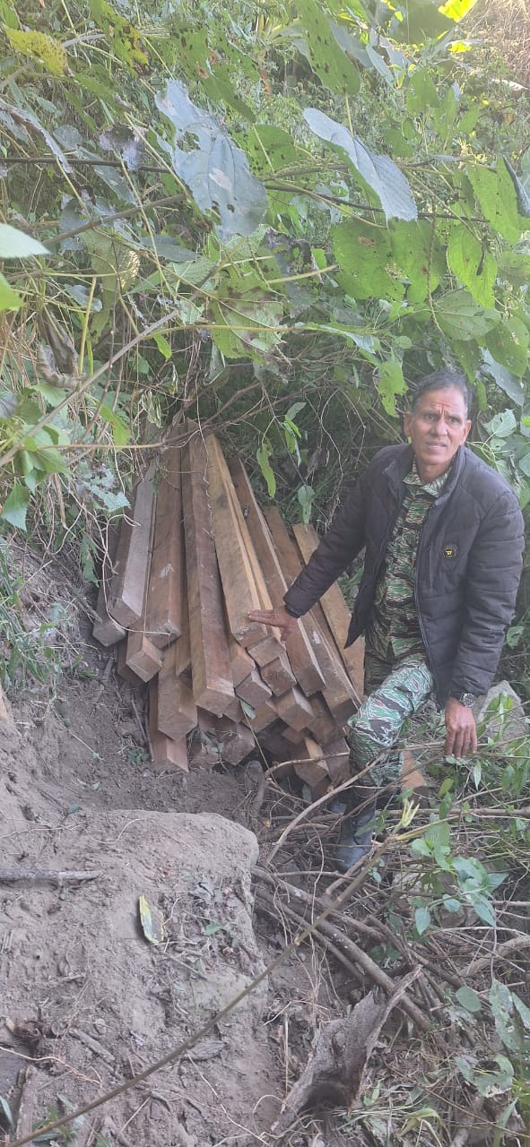 कैलालीको चुरे क्षेत्रबाट झन्डै २ सय ५० बढी सालका अबैध  कणि  बरामद