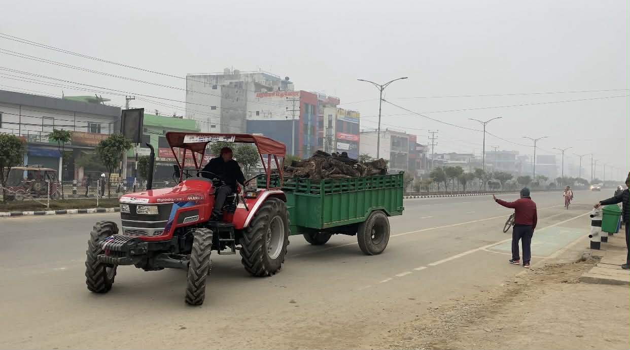 चिसो र शितलहर बढेपछि धनगढीमा वन कार्यालयद्वारा निःशुल्क दाउरा वितरण