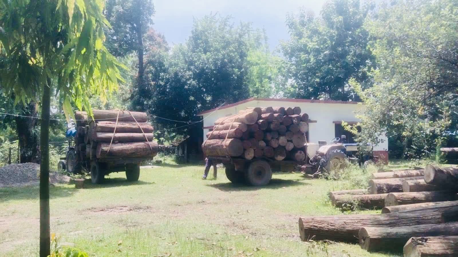 कैलाली–कञ्चनपुरमा वन सीमा विवाद समाधान उन्मुख, काठ–दाउरा सङ्कलन रोकियो