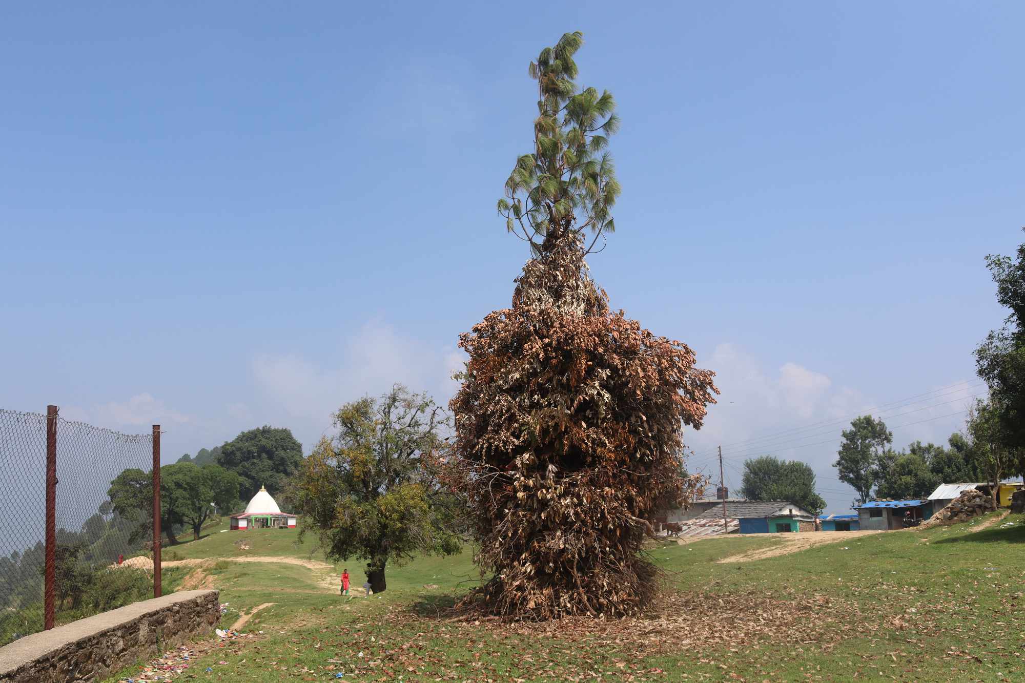 सुदूरपश्चिमका पहाडी जिल्लामा आज बन्ढुनी अर्थात् ‘बुढी पोल्ने’ पर्व