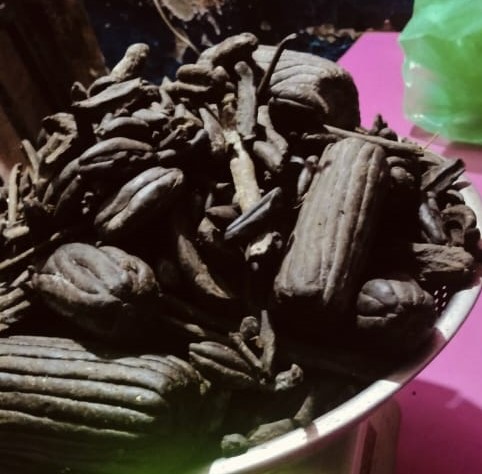 कैलालीमा ५ जना पक्राउ, ठूलो परिमाणमा लागुऔषध बरामद